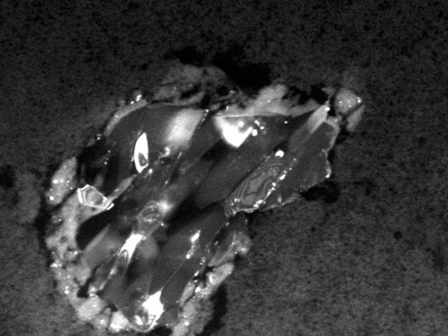 Stardust Spacecraft Turns 10